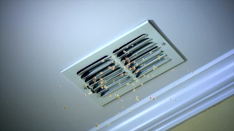 Best Duct Cleaning Specialists  in Little Flock, AR
